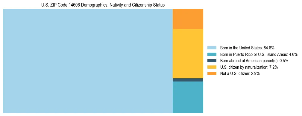 Treemap showing the population distribution by nativity and citizenship status in US ZIP Code 14606 based on U.S. Census data.