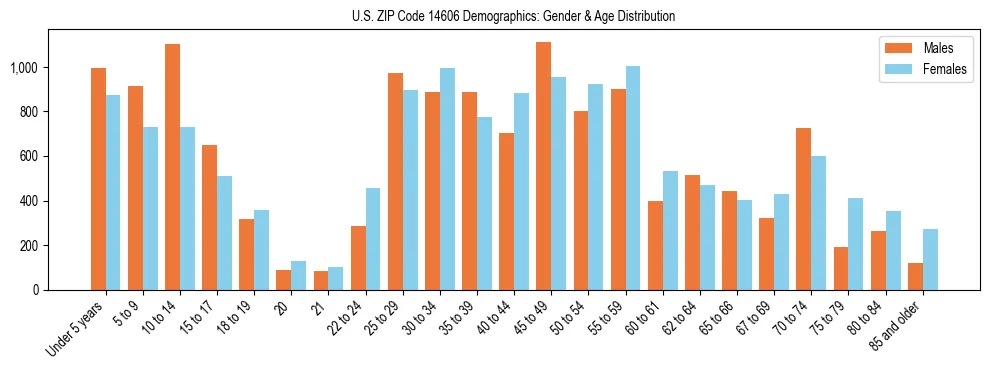 Bar chart showing the population distribution of US ZIP Code 14606 by age group and gender, based on 2023 ACS data.