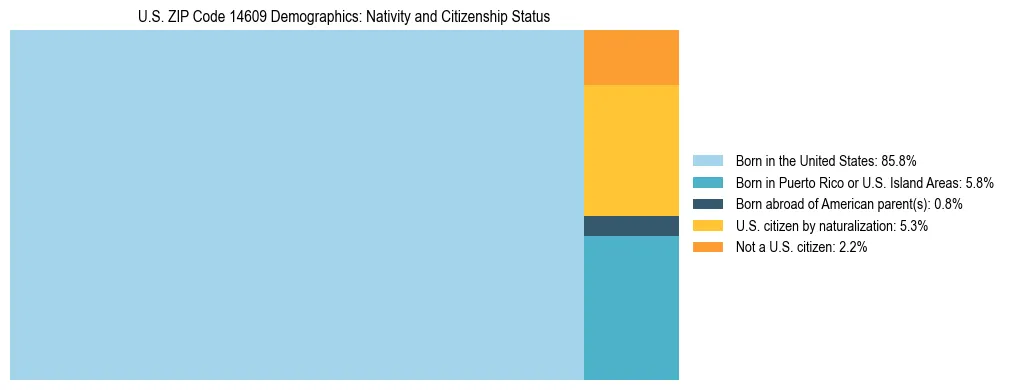 Treemap showing the population distribution by nativity and citizenship status in US ZIP Code 14609 based on U.S. Census data.