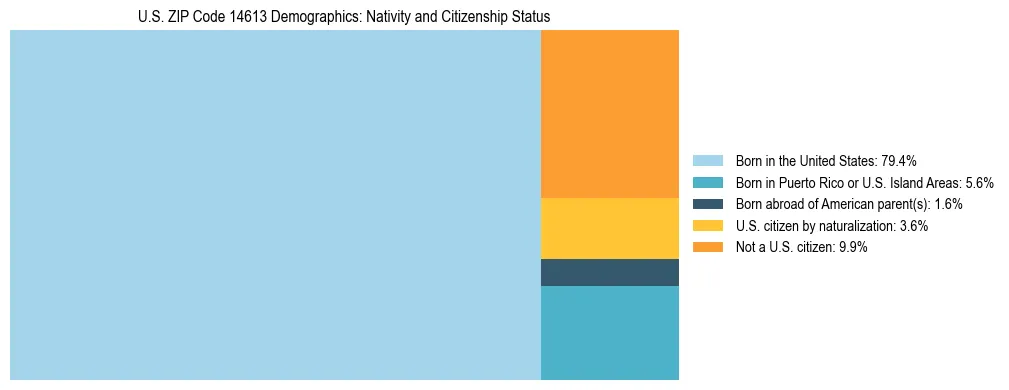 Treemap showing the population distribution by nativity and citizenship status in US ZIP Code 14613 based on U.S. Census data.