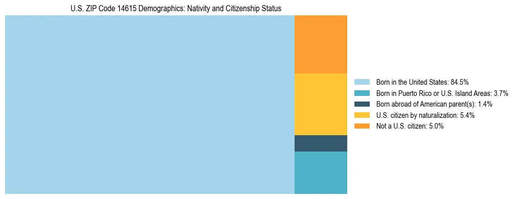 Treemap showing the population distribution by nativity and citizenship status in US ZIP Code 14615 based on U.S. Census data.