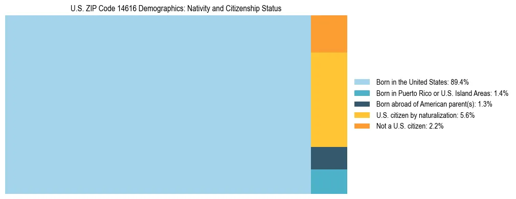 Treemap showing the population distribution by nativity and citizenship status in US ZIP Code 14616 based on U.S. Census data.