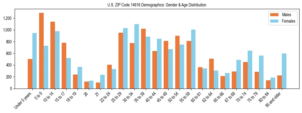 Bar chart showing the population distribution of US ZIP Code 14616 by age group and gender, based on 2023 ACS data.