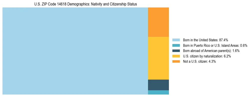 Treemap showing the population distribution by nativity and citizenship status in US ZIP Code 14618 based on U.S. Census data.