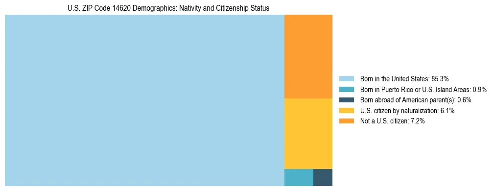 Treemap showing the population distribution by nativity and citizenship status in US ZIP Code 14620 based on U.S. Census data.