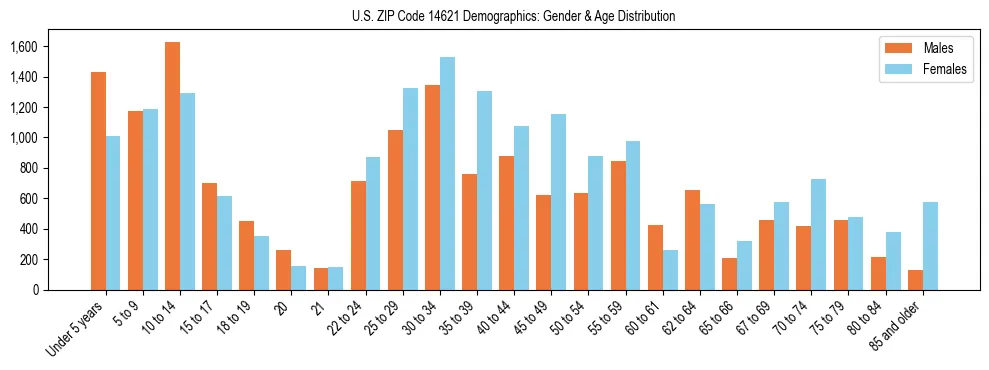 Bar chart showing the population distribution of US ZIP Code 14621 by age group and gender, based on 2023 ACS data.