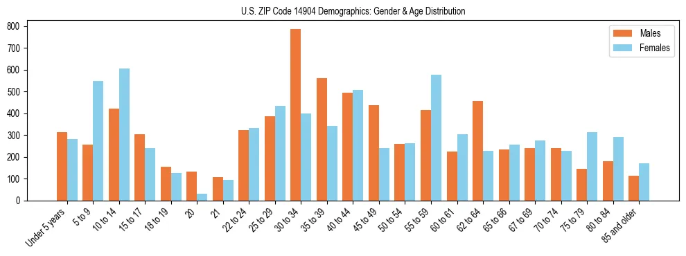 Bar chart showing the population distribution of US ZIP Code 14904 by age group and gender, based on 2023 ACS data.