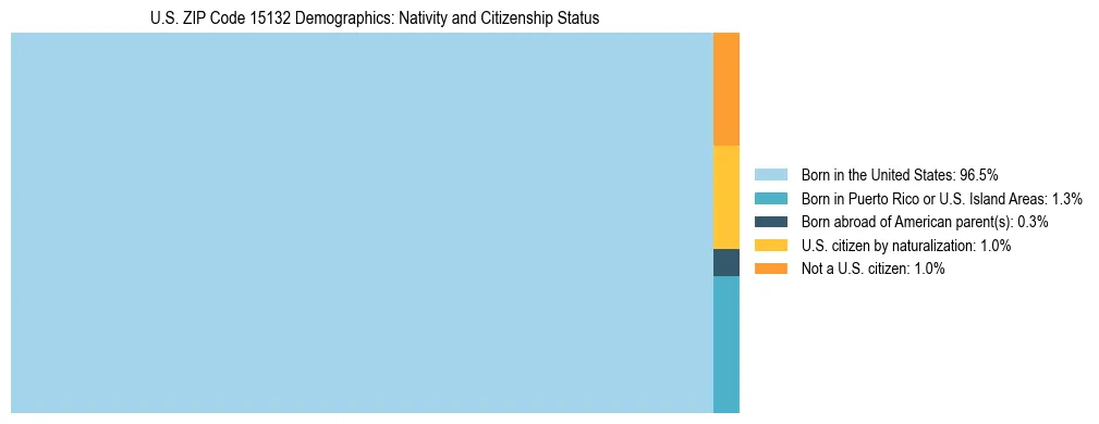 Treemap showing the population distribution by nativity and citizenship status in US ZIP Code 15132 based on U.S. Census data.