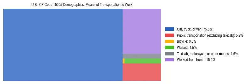 Treemap showing means of transportation to work distribution in US ZIP Code 15205.