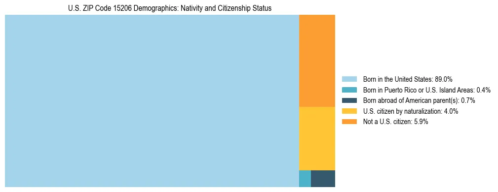 Treemap showing the population distribution by nativity and citizenship status in US ZIP Code 15206 based on U.S. Census data.