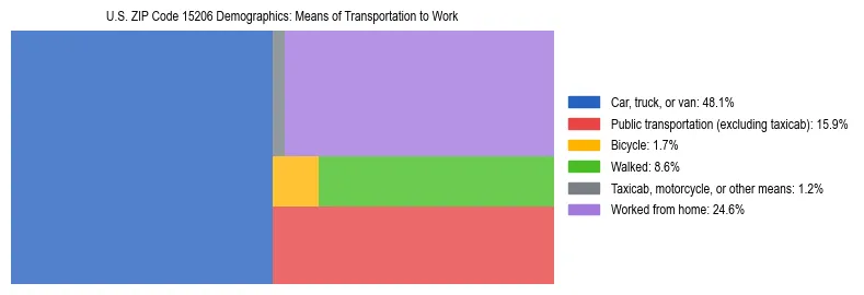 Treemap showing means of transportation to work distribution in US ZIP Code 15206.