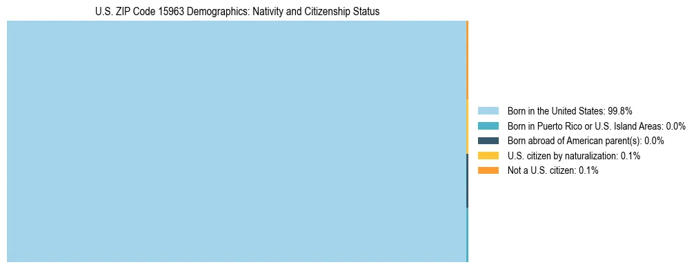 Treemap showing the population distribution by nativity and citizenship status in US ZIP Code 15963 based on U.S. Census data.