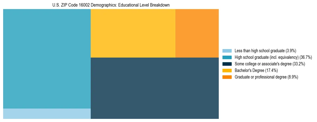 Treemap chart illustrating the educational attainment breakdown for population 25 years and over in US ZIP Code 16002.