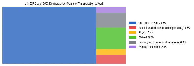 Treemap showing means of transportation to work distribution in US ZIP Code 16503.