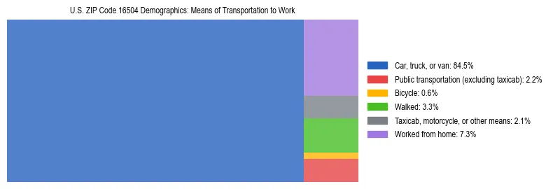 Treemap showing means of transportation to work distribution in US ZIP Code 16504.