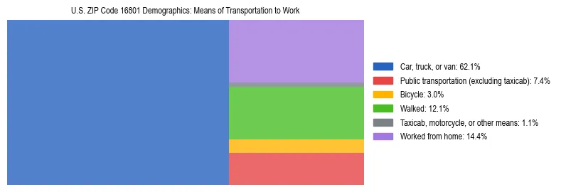 Treemap showing means of transportation to work distribution in US ZIP Code 16801.