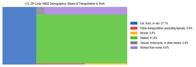 Treemap showing means of transportation to work distribution in US ZIP Code 16802.