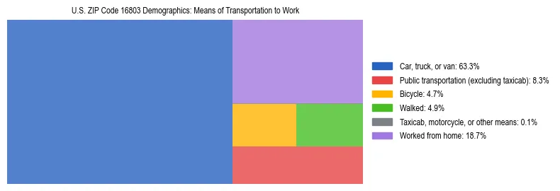 Treemap showing means of transportation to work distribution in US ZIP Code 16803.