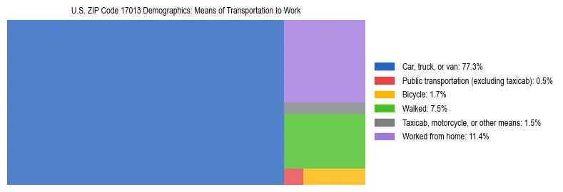 Treemap showing means of transportation to work distribution in US ZIP Code 17013.