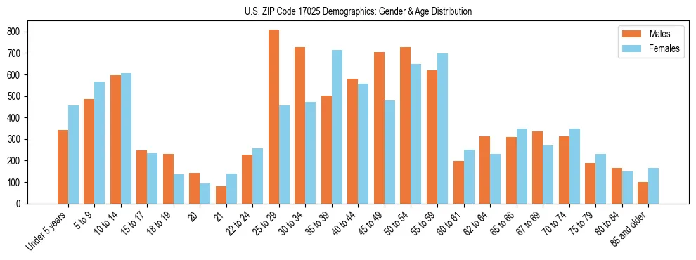 Bar chart showing the population distribution of US ZIP Code 17025 by age group and gender, based on 2023 ACS data.