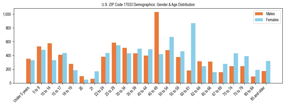 Bar chart showing the population distribution of US ZIP Code 17033 by age group and gender, based on 2023 ACS data.
