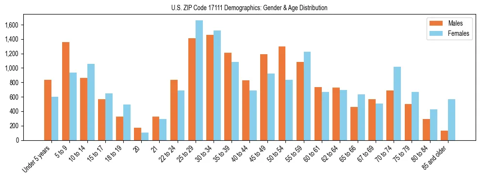 Bar chart showing the population distribution of US ZIP Code 17111 by age group and gender, based on 2023 ACS data.