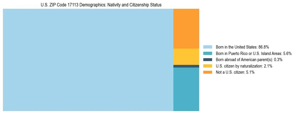 Treemap showing the population distribution by nativity and citizenship status in US ZIP Code 17113 based on U.S. Census data.