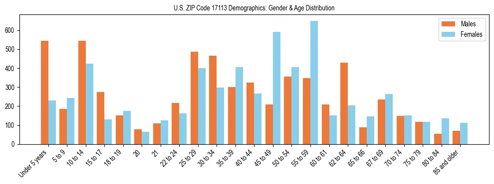 Bar chart showing the population distribution of US ZIP Code 17113 by age group and gender, based on 2023 ACS data.