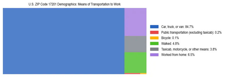 Treemap showing means of transportation to work distribution in US ZIP Code 17201.