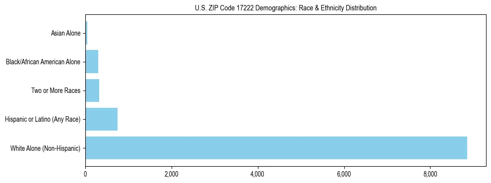 Race and Ethnicity Distribution Chart for US ZIP Code 17222