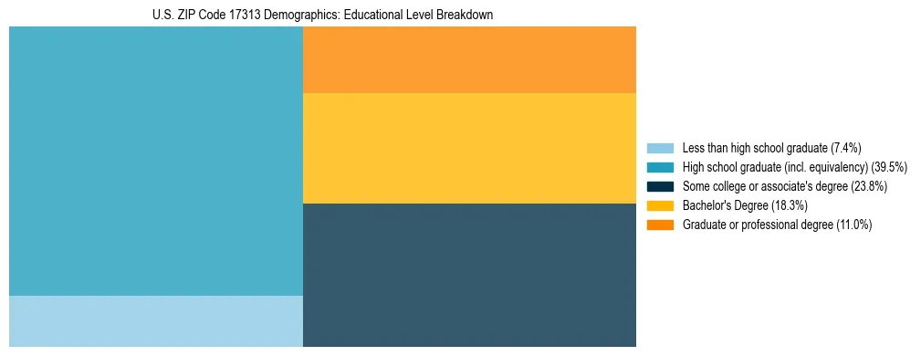 Treemap chart illustrating the educational attainment breakdown for population 25 years and over in US ZIP Code 17313.