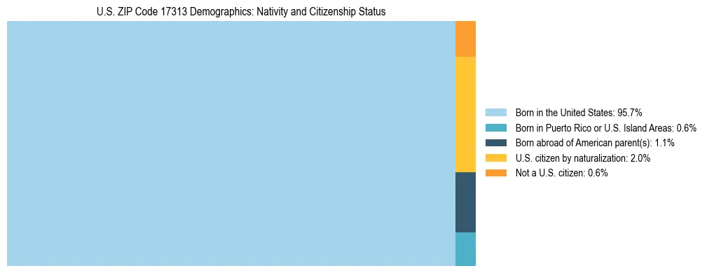 Treemap showing the population distribution by nativity and citizenship status in US ZIP Code 17313 based on U.S. Census data.