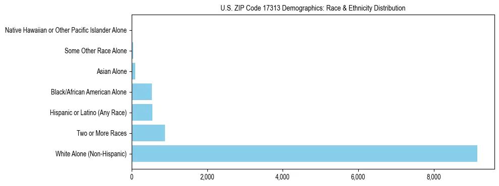 Race and Ethnicity Distribution Chart for US ZIP Code 17313