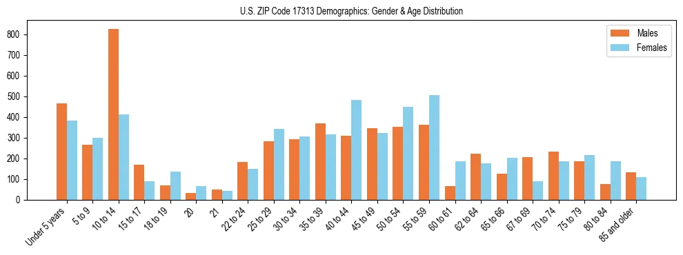 Bar chart showing the population distribution of US ZIP Code 17313 by age group and gender, based on 2023 ACS data.