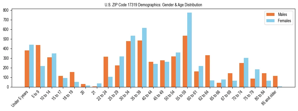 Bar chart showing the population distribution of US ZIP Code 17319 by age group and gender, based on 2023 ACS data.