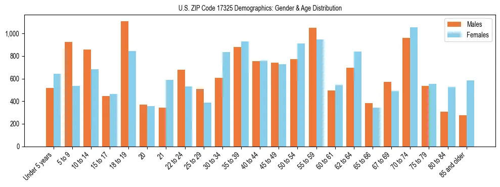 Bar chart showing the population distribution of US ZIP Code 17325 by age group and gender, based on 2023 ACS data.