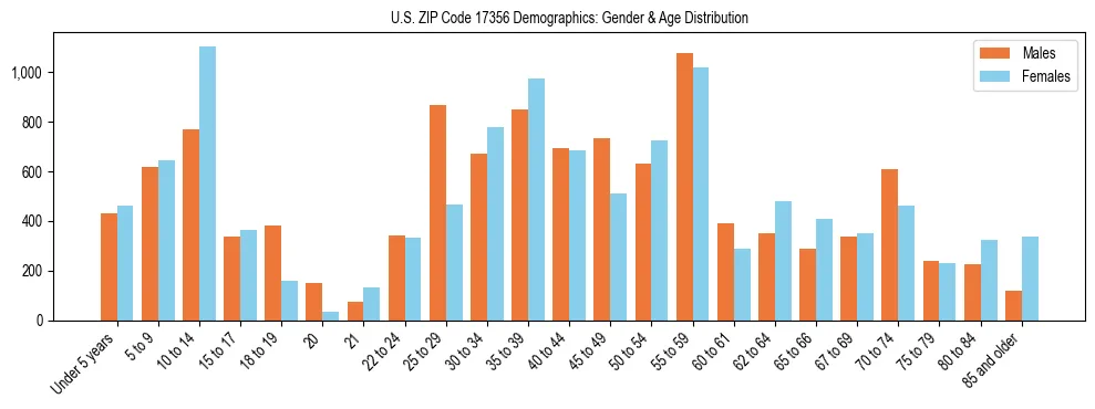 Bar chart showing the population distribution of US ZIP Code 17356 by age group and gender, based on 2023 ACS data.