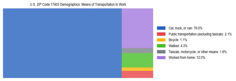 Treemap showing means of transportation to work distribution in US ZIP Code 17403.