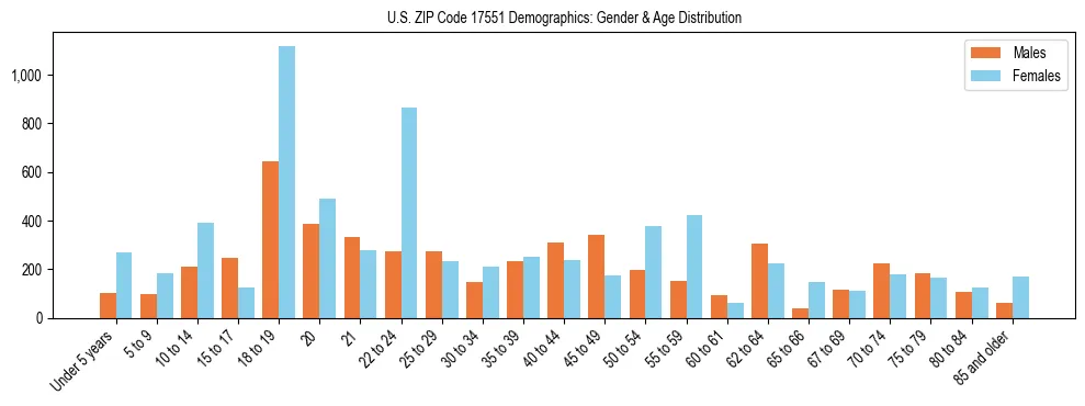 Bar chart showing the population distribution of US ZIP Code 17551 by age group and gender, based on 2023 ACS data.
