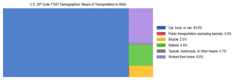 Treemap showing means of transportation to work distribution in US ZIP Code 17557.