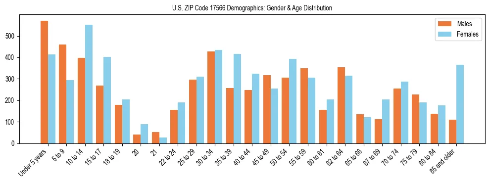 Bar chart showing the population distribution of US ZIP Code 17566 by age group and gender, based on 2023 ACS data.