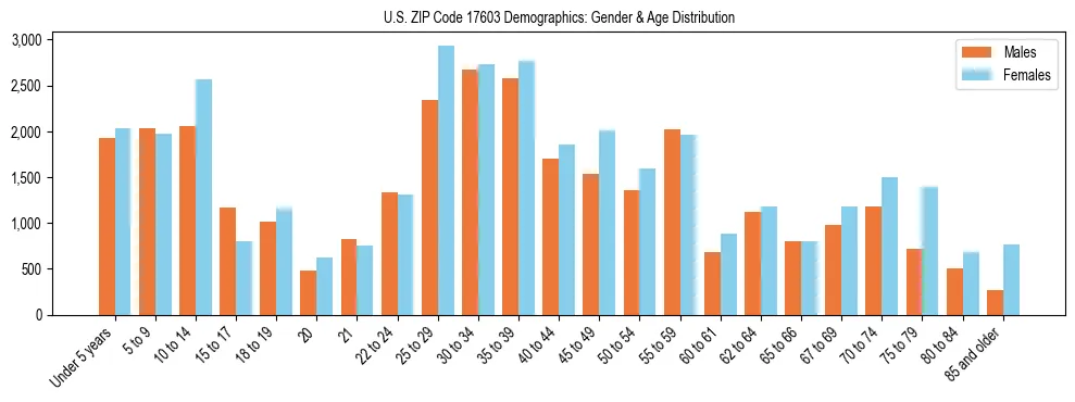 Bar chart showing the population distribution of US ZIP Code 17603 by age group and gender, based on 2023 ACS data.