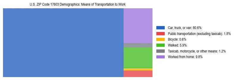Treemap showing means of transportation to work distribution in US ZIP Code 17603.