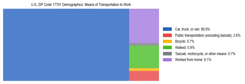 Treemap showing means of transportation to work distribution in US ZIP Code 17701.