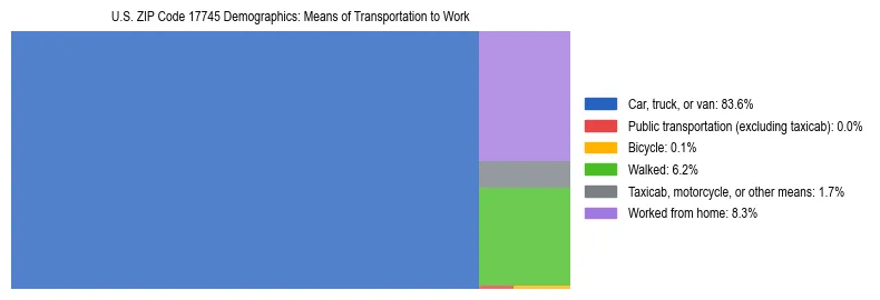Treemap showing means of transportation to work distribution in US ZIP Code 17745.