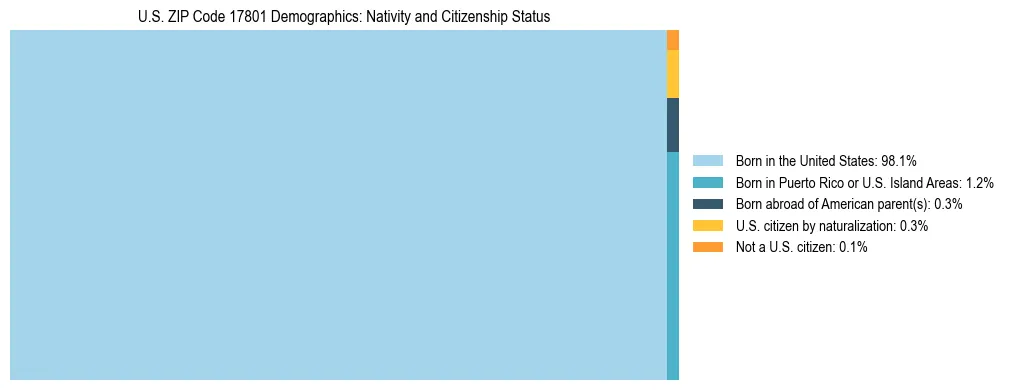 Treemap showing the population distribution by nativity and citizenship status in US ZIP Code 17801 based on U.S. Census data.
