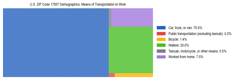 Treemap showing means of transportation to work distribution in US ZIP Code 17837.