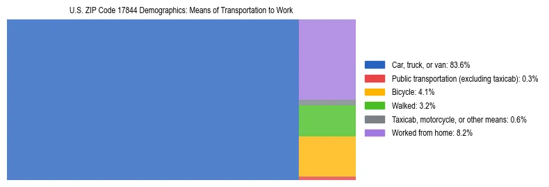 Treemap showing means of transportation to work distribution in US ZIP Code 17844.
