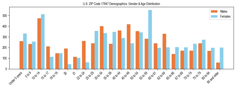 Bar chart showing the population distribution of US ZIP Code 17847 by age group and gender, based on 2023 ACS data.