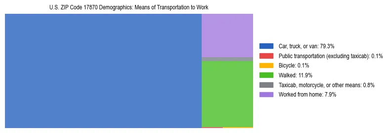 Treemap showing means of transportation to work distribution in US ZIP Code 17870.